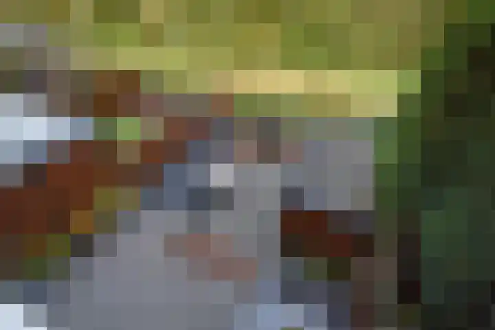 Lange Dreef 134 Rijswijk thumbnail 45
