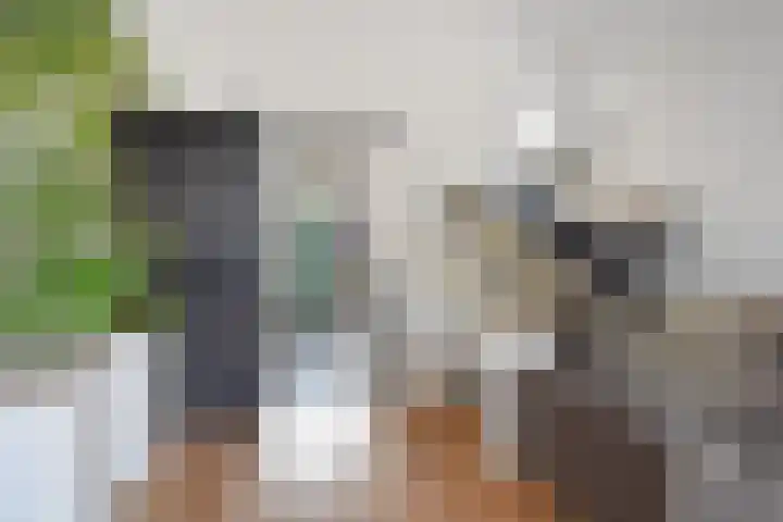 Lange Dreef 134 Rijswijk thumbnail 8