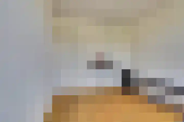 Lange Dreef 139 Rijswijk thumbnail 31