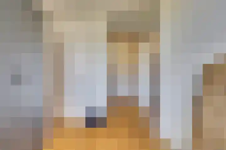 Lange Dreef 139 Rijswijk thumbnail 33