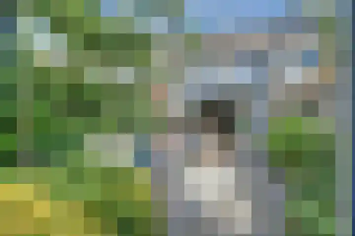 Lange Dreef 139 Rijswijk thumbnail 4