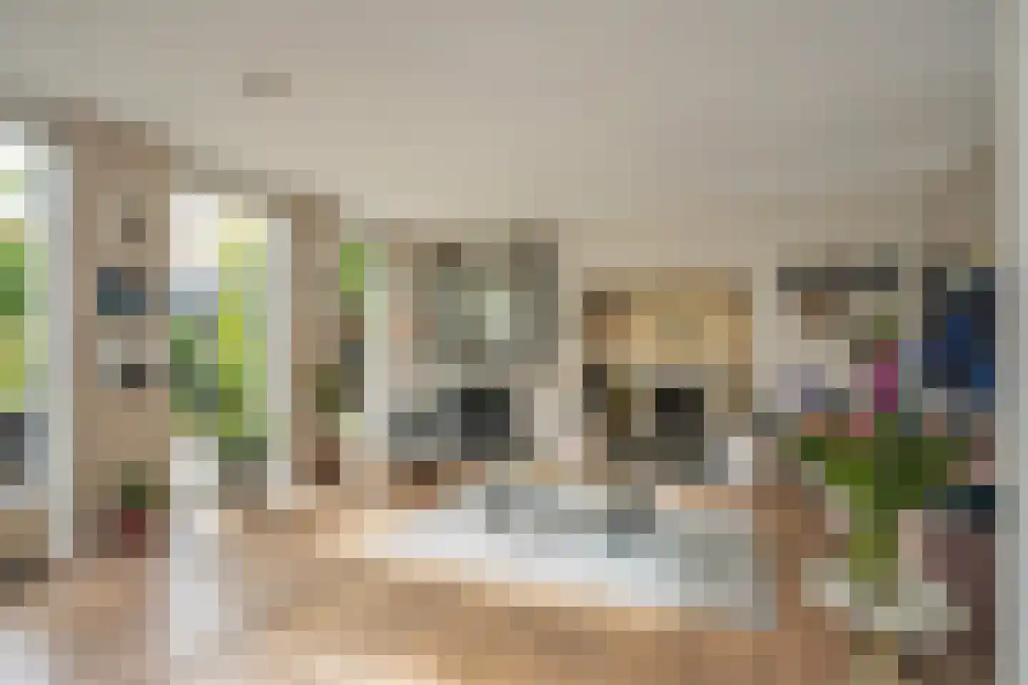 Lange Dreef 159 Rijswijk thumbnail 10