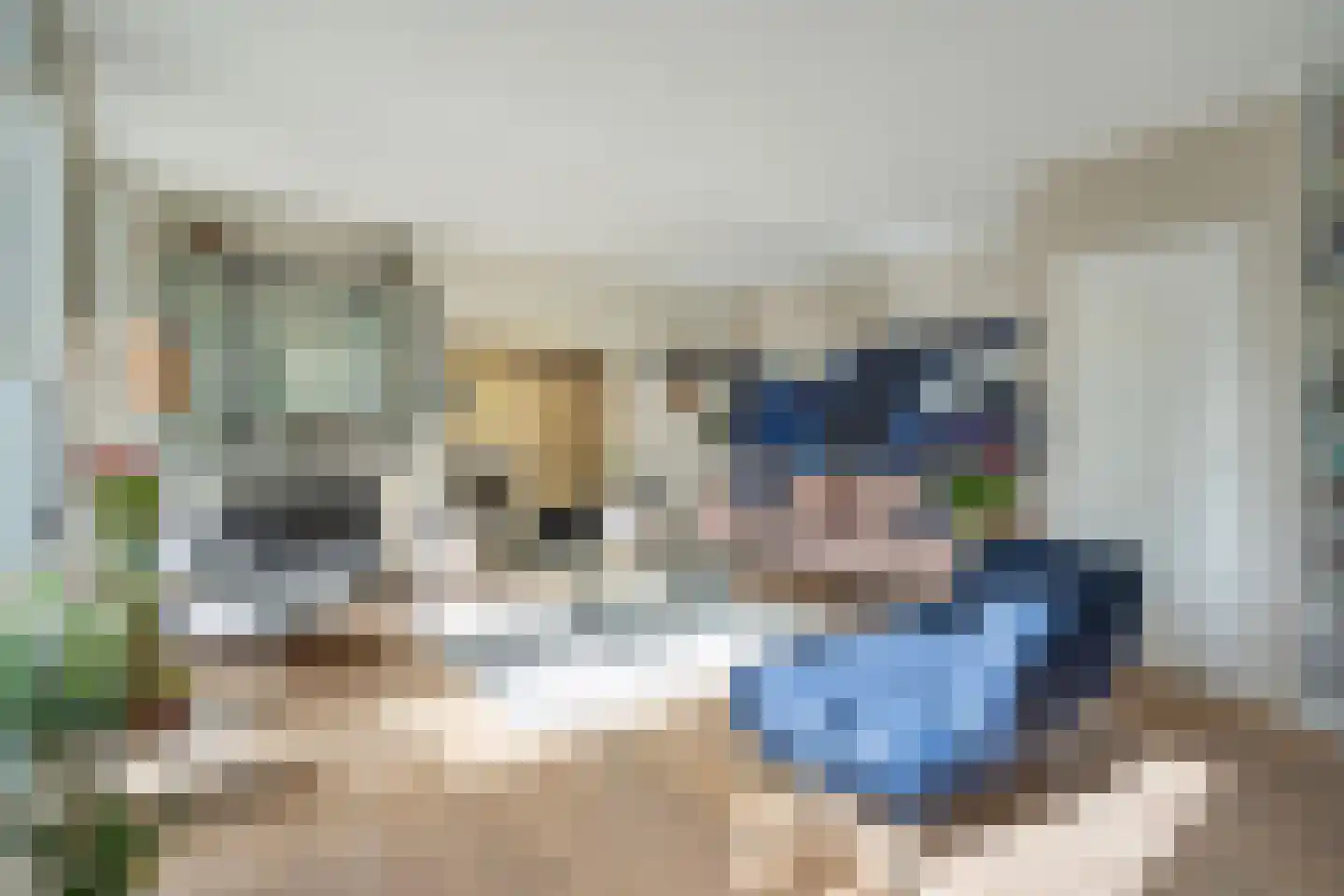 Lange Dreef 159 Rijswijk thumbnail 11