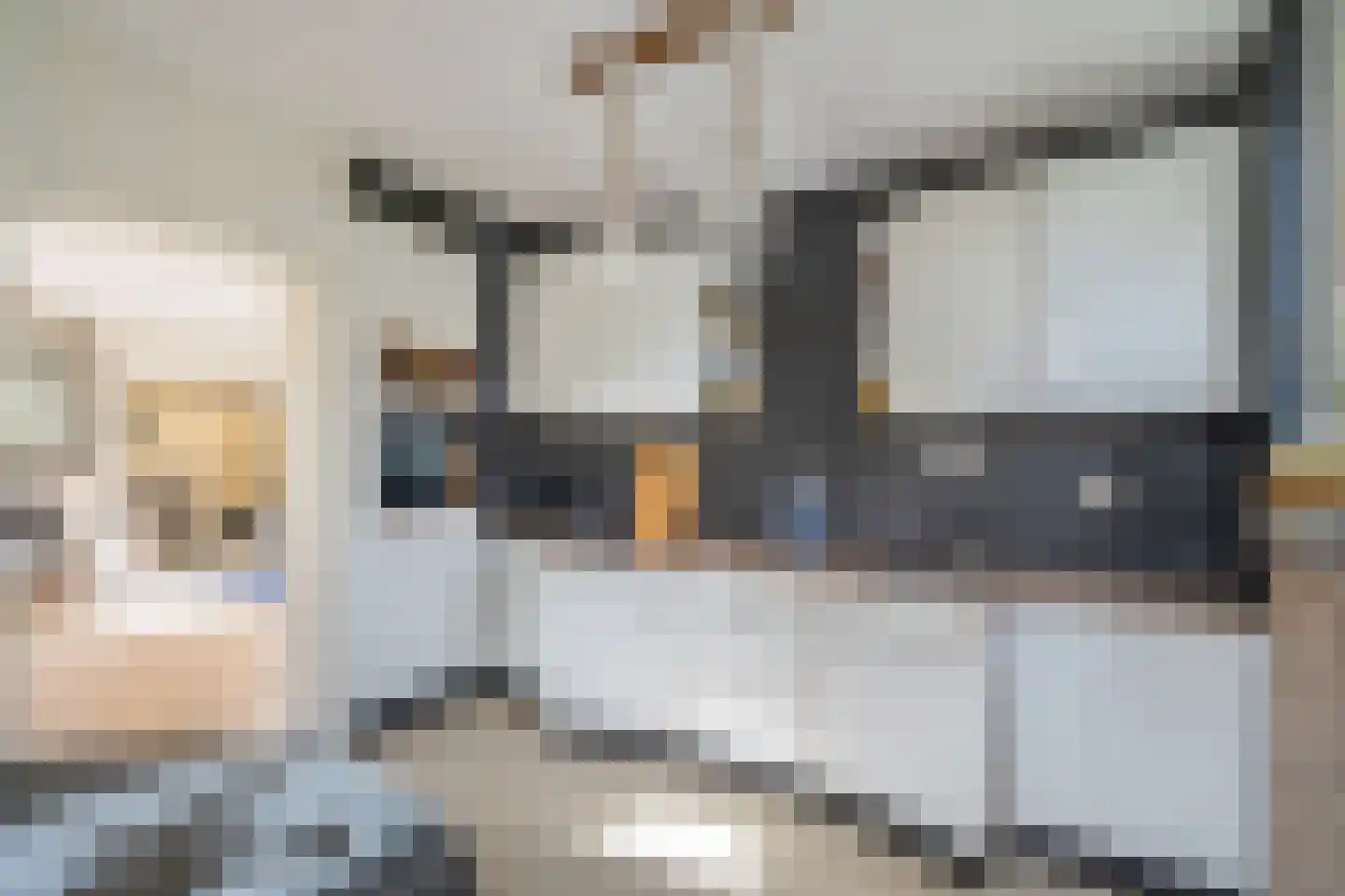 Lange Dreef 159 Rijswijk thumbnail 18