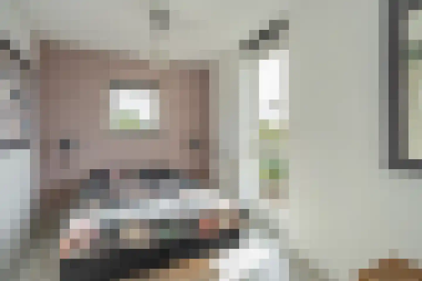 Lange Dreef 159 Rijswijk thumbnail 33