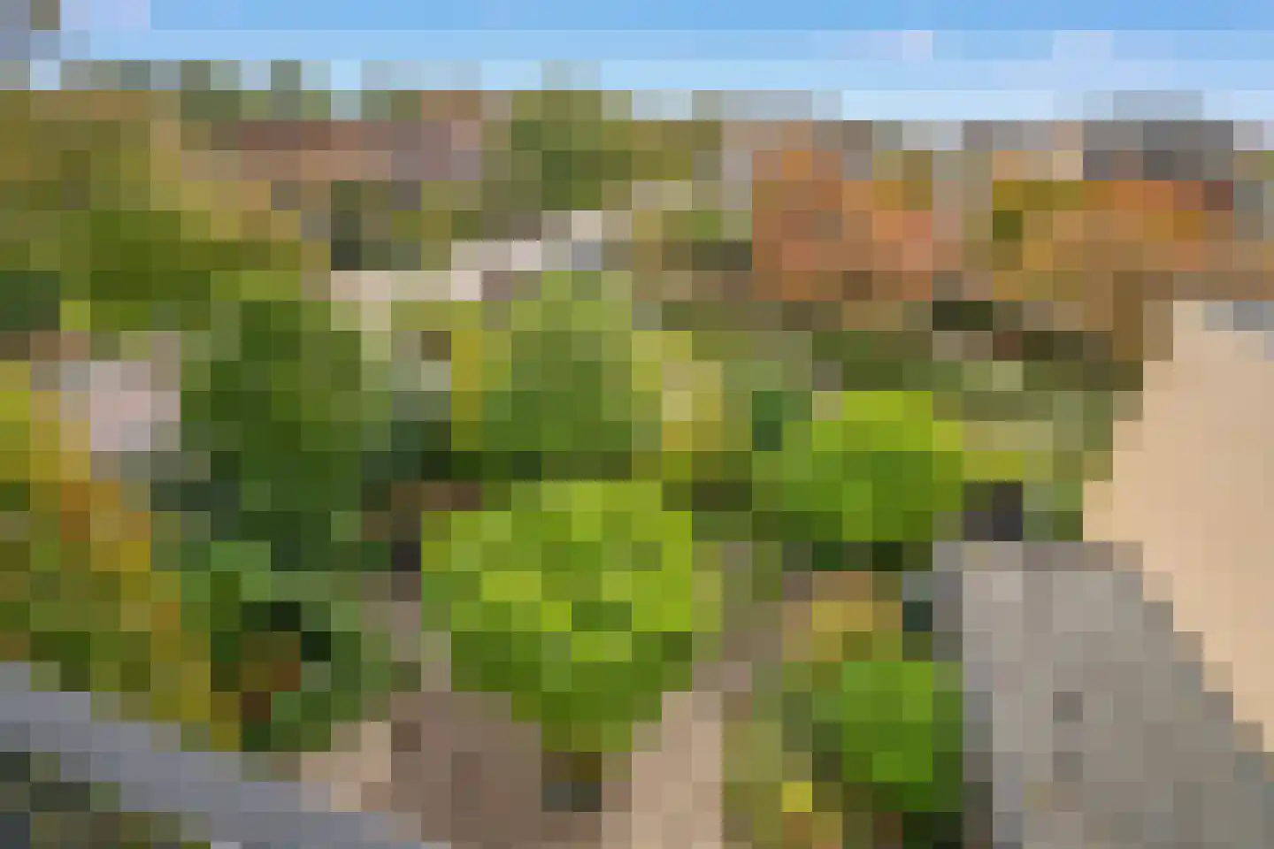 Lange Dreef 159 Rijswijk thumbnail 37