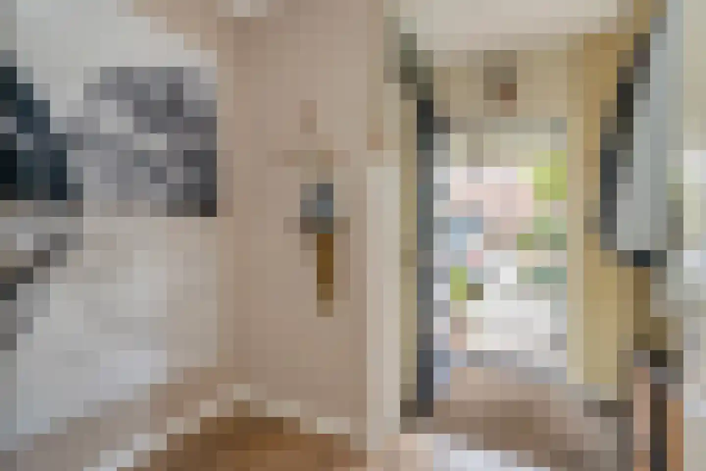 Lange Dreef 159 Rijswijk thumbnail 8