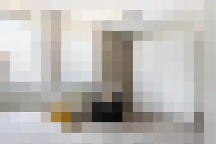 Lange Dreef 168 Rijswijk thumbnail 15