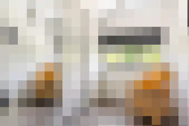 Lange Dreef 168 Rijswijk thumbnail 16