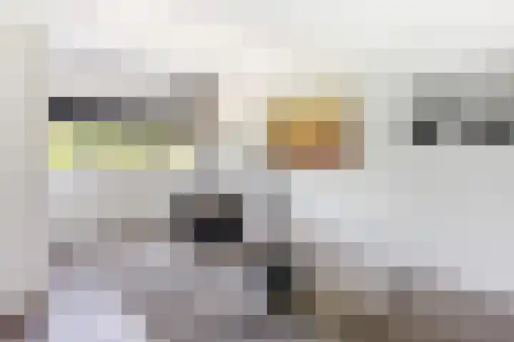 Lange Dreef 168 Rijswijk thumbnail 17