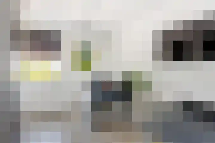 Lange Dreef 168 Rijswijk thumbnail 23