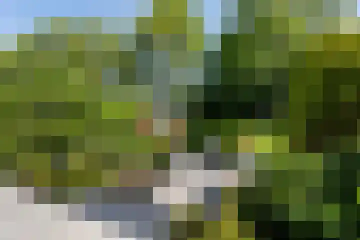 Lange Dreef 168 Rijswijk thumbnail 28