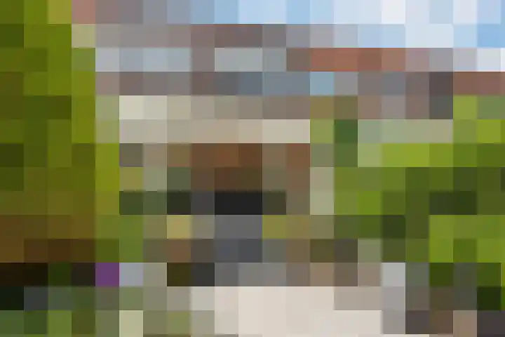 Lange Dreef 168 Rijswijk thumbnail 30
