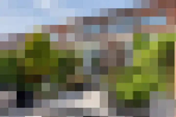 Lange Dreef 168 Rijswijk thumbnail 32