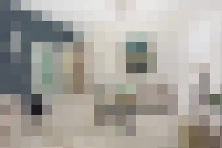 Lange Dreef 168 Rijswijk thumbnail 5