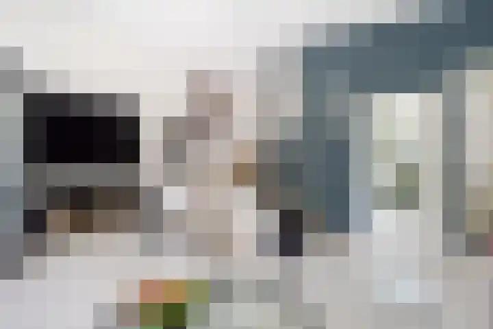 Lange Dreef 168 Rijswijk thumbnail 6