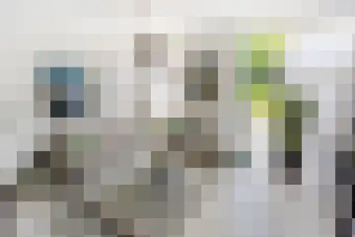 Lange Dreef 168 Rijswijk thumbnail 7