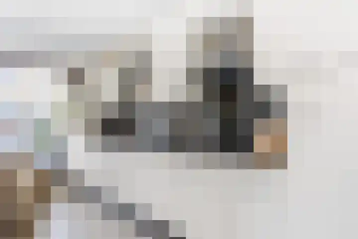 Lange Dreef 168 Rijswijk thumbnail 8