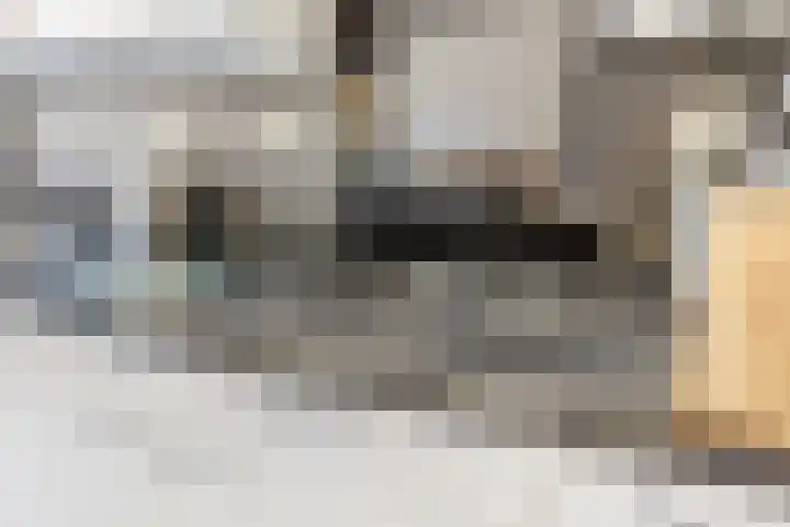 Lange Dreef 168 Rijswijk thumbnail 9