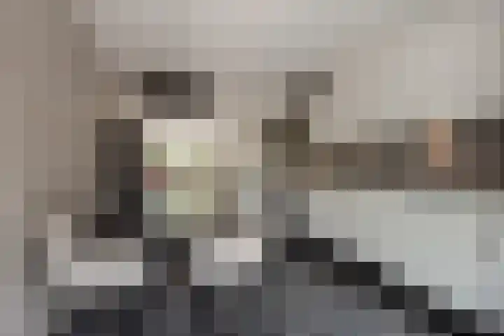 Lange Dreef 176 Rijswijk thumbnail 11