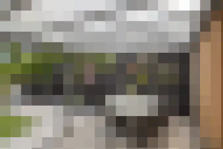 Lange Dreef 176 Rijswijk thumbnail 14
