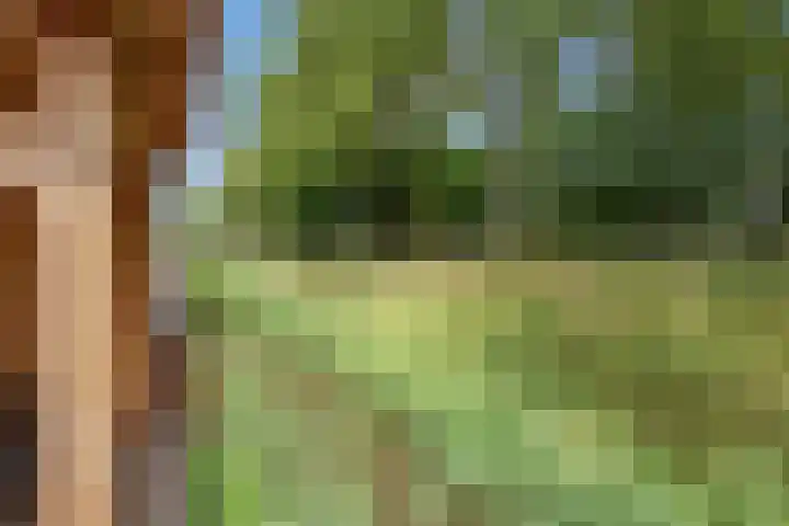 Lange Dreef 176 Rijswijk thumbnail 17
