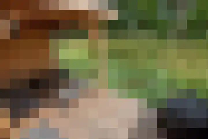 Lange Dreef 176 Rijswijk thumbnail 18