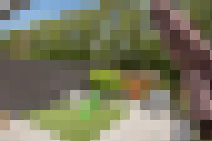Lange Dreef 176 Rijswijk thumbnail 20