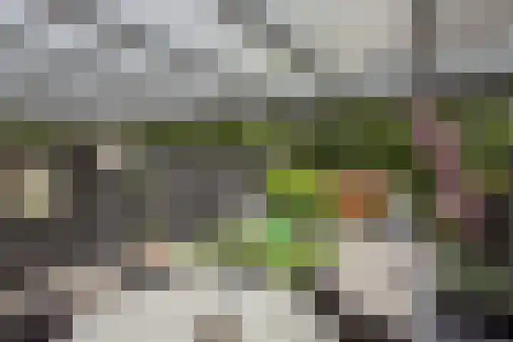 Lange Dreef 176 Rijswijk thumbnail 21
