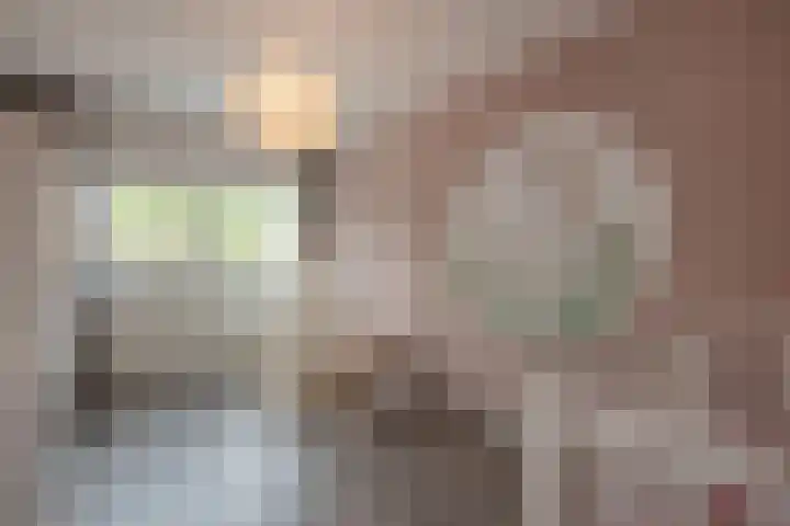 Lange Dreef 176 Rijswijk thumbnail 29