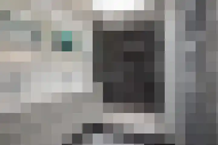 Lange Dreef 176 Rijswijk thumbnail 32