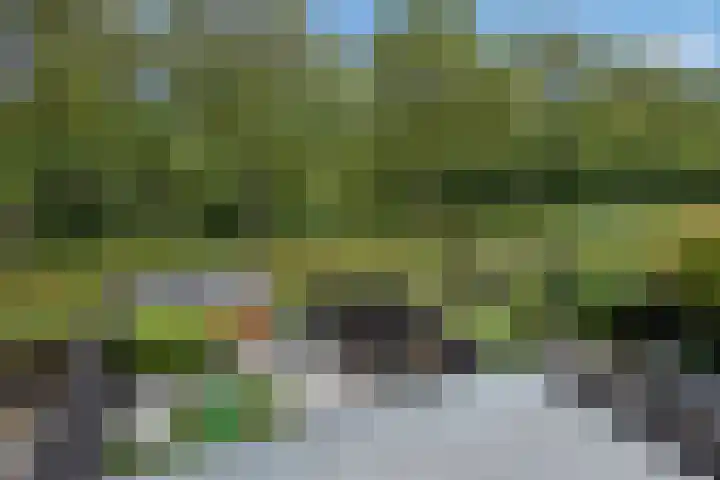 Lange Dreef 176 Rijswijk thumbnail 35