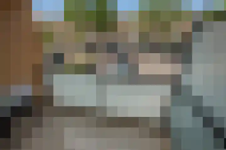 Lange Dreef 176 Rijswijk thumbnail 36