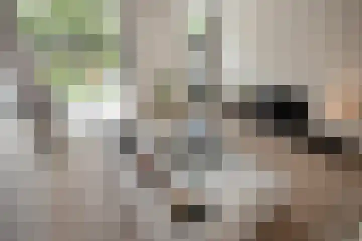 Lange Dreef 176 Rijswijk thumbnail 8