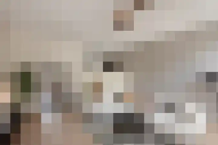 Lange Dreef 176 Rijswijk thumbnail 9