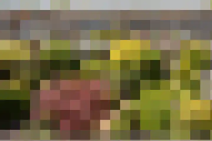Lange Dreef 187 Rijswijk thumbnail 26