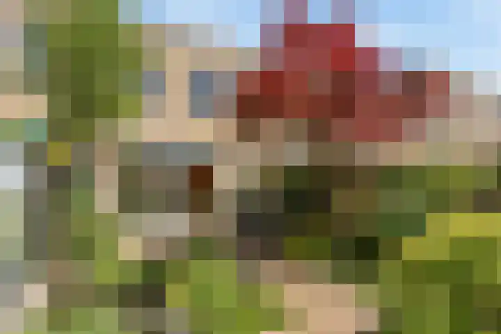 Lange Dreef 187 Rijswijk thumbnail 28