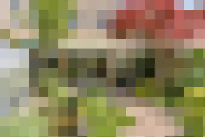 Lange Dreef 187 Rijswijk thumbnail 29