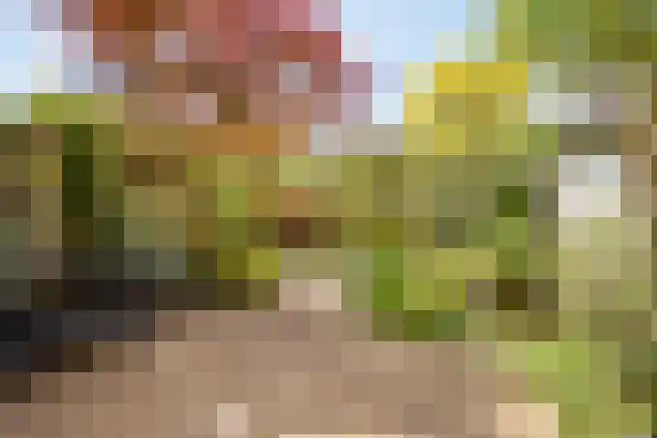 Lange Dreef 187 Rijswijk thumbnail 30
