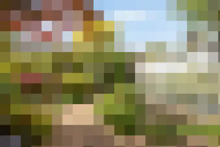 Lange Dreef 187 Rijswijk thumbnail 31