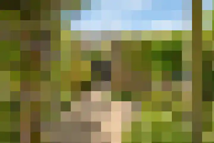 Lange Dreef 187 Rijswijk thumbnail 32