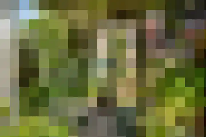 Lange Dreef 187 Rijswijk thumbnail 33
