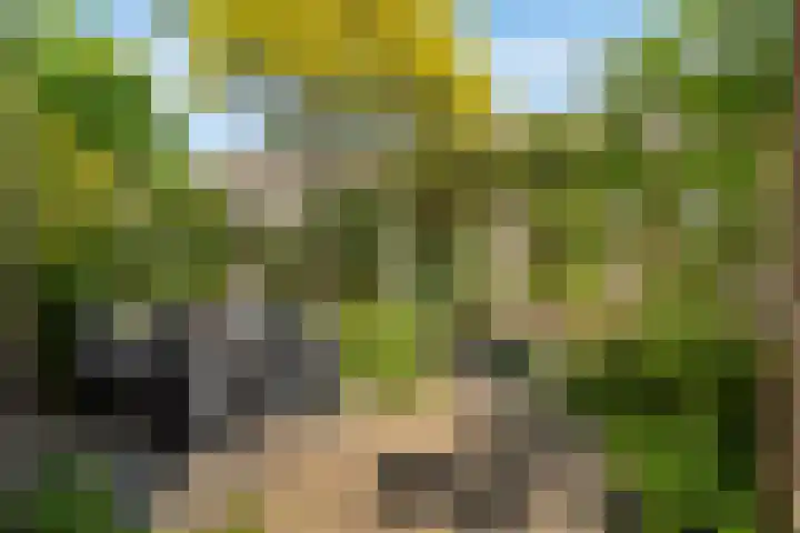 Lange Dreef 187 Rijswijk thumbnail 34