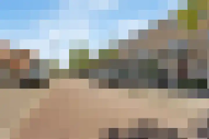 Lange Dreef 187 Rijswijk thumbnail 36