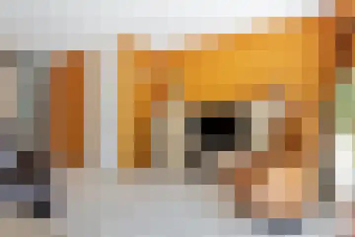 Lange Dreef 187 Rijswijk thumbnail 6