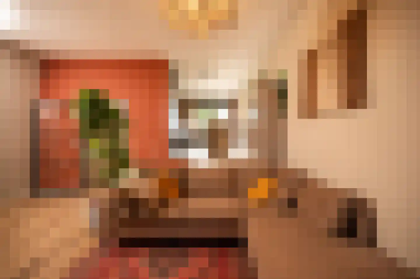 Lange Dreef 190 Rijswijk thumbnail 17