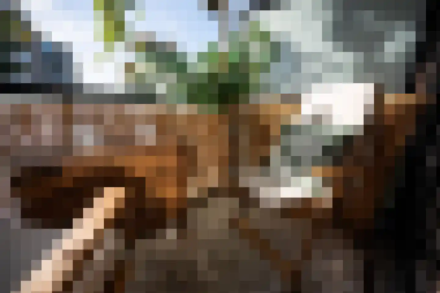 Lange Dreef 190 Rijswijk thumbnail 24