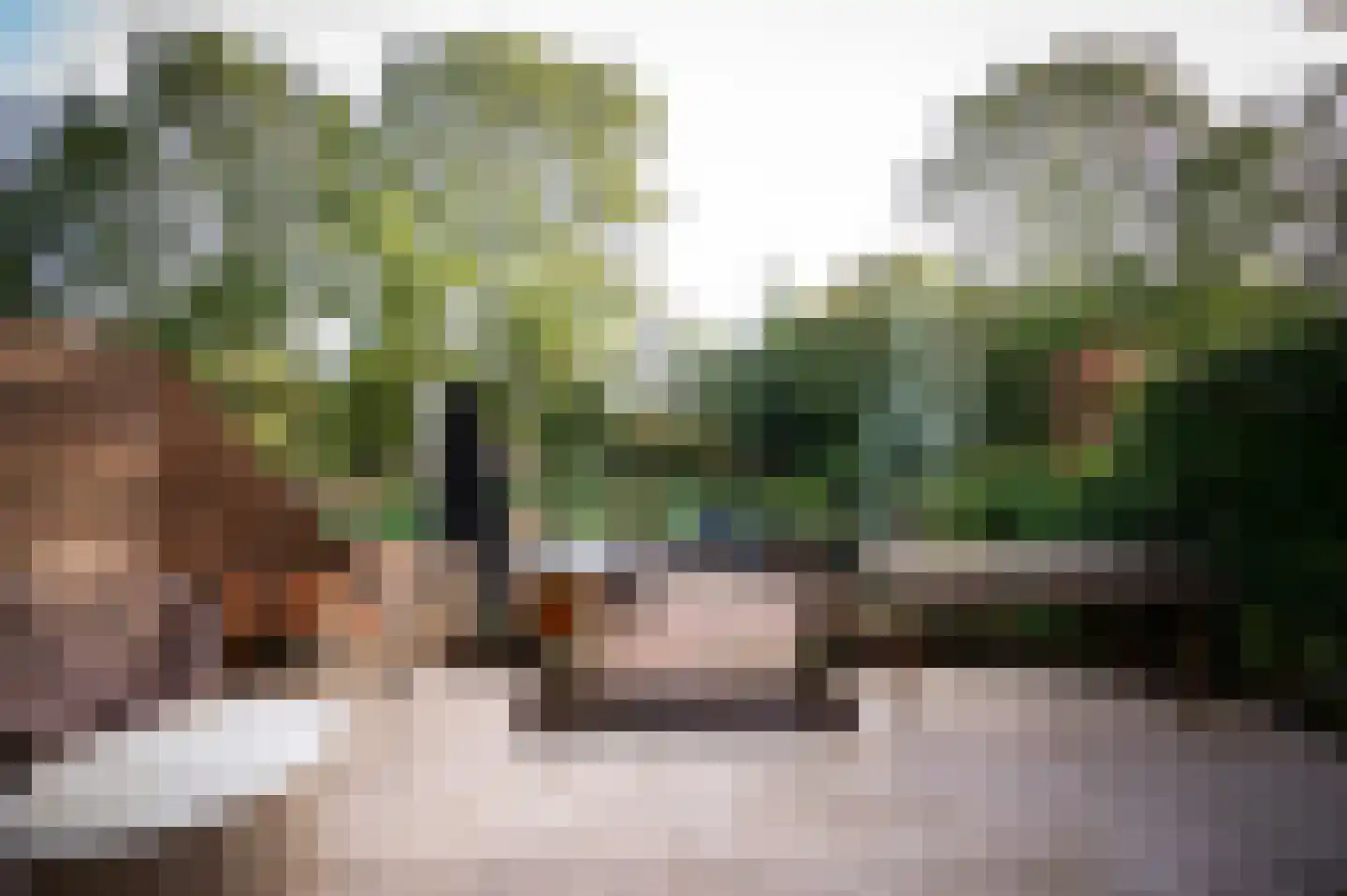Lange Dreef 190 Rijswijk thumbnail 28