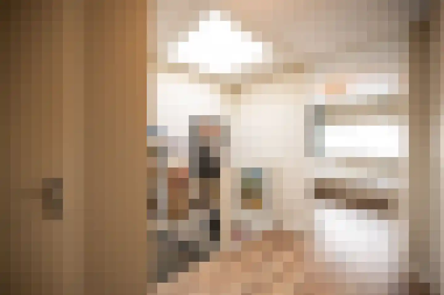 Lange Dreef 190 Rijswijk thumbnail 37