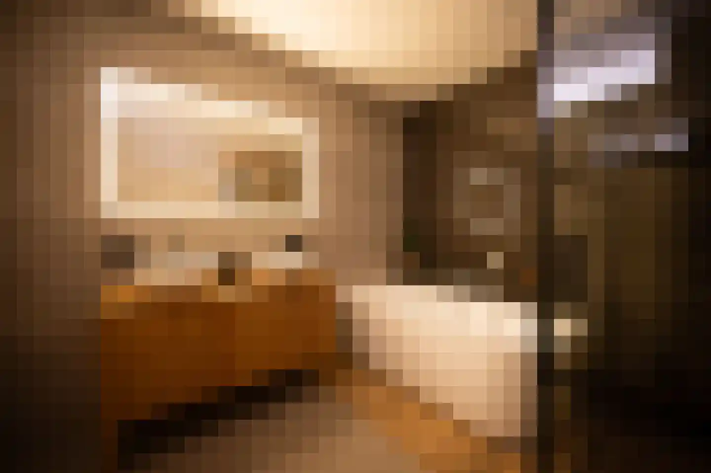 Lange Dreef 190 Rijswijk thumbnail 45